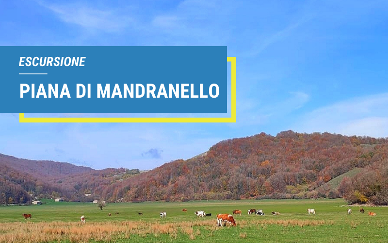 Radura Trekking Piana di Mandranello