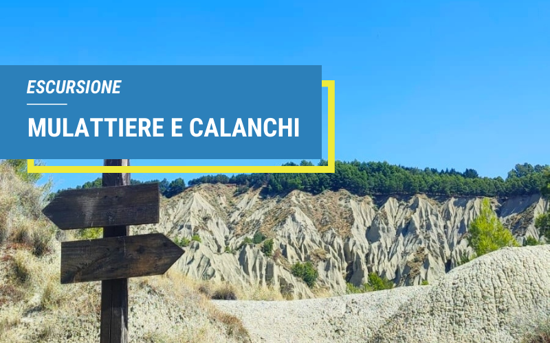 Radura Trekking mulattiere e calanchi