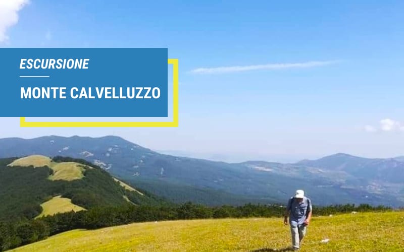 Radura Trekking Escursione Monte Calvelluzzo