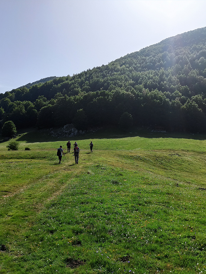 Perché Radura Trekking