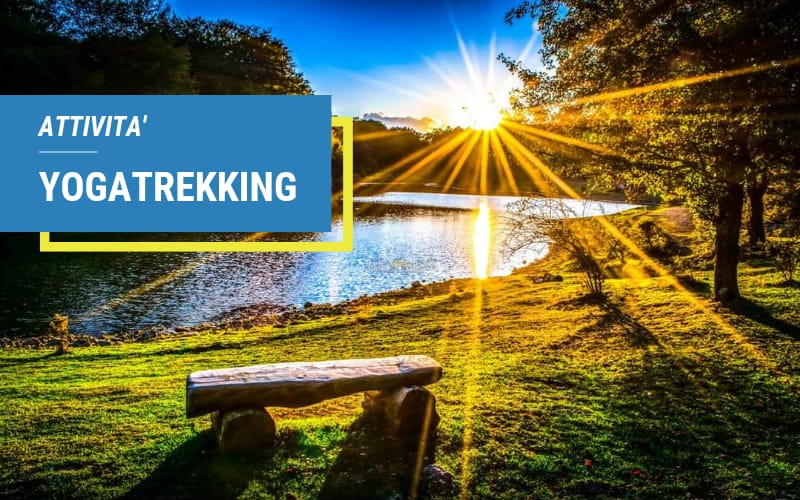 Radura Trekking attività Yogatrekking