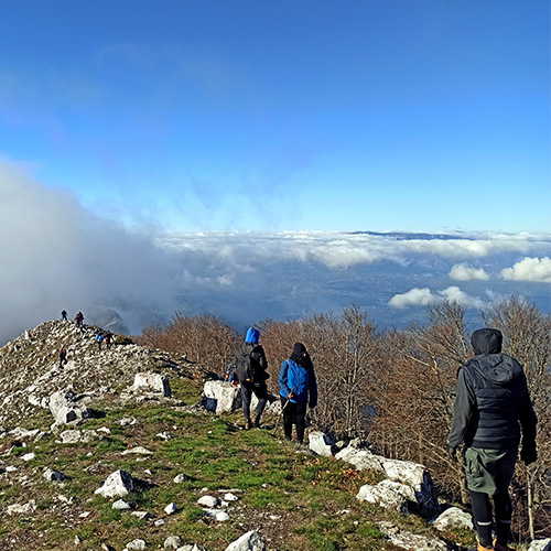 Trekking Giornalieri Radura Trekking 