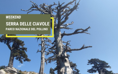 WEEKEND SERRA DELLE CIAVOLE – PARCO NAZIONALE DEL POLLINO