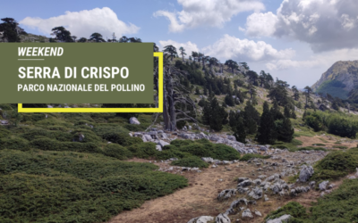 WEEKEND SERRA DI CRISPO – PARCO NAZIONALE DEL POLLINO