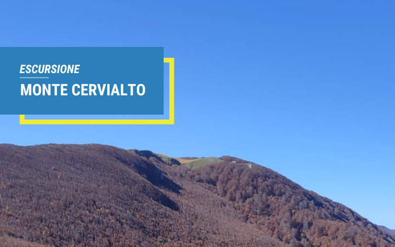 Radura Trekking Monte Cervialto Calabritto AV