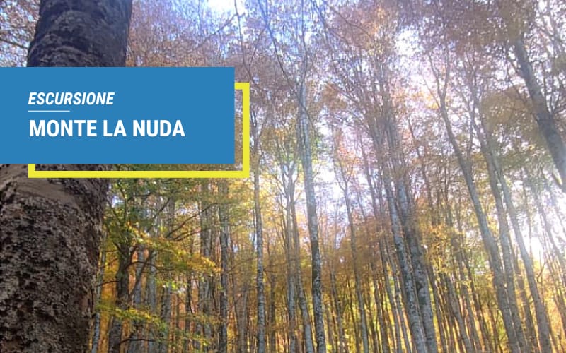 Radura Trekking Escursione Monte La Nuda Sicignano degli Alburni (SA)