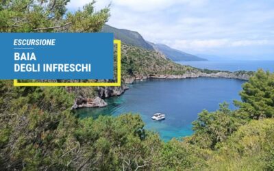 ESCURSIONE BAIA DEGLI INFRESCHI – MARINA DI CAMEROTA (SA)